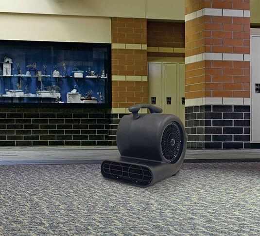 Air Mover Commercial Dryer alt 2